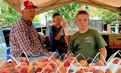 Echols Hilltop Orchard